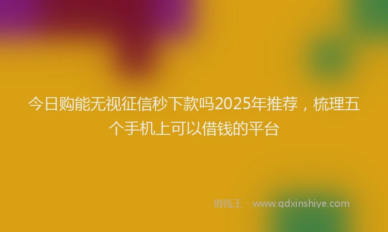 今日购能无视征信秒下款吗2025年推荐，梳理五个手机上可以借钱的平台