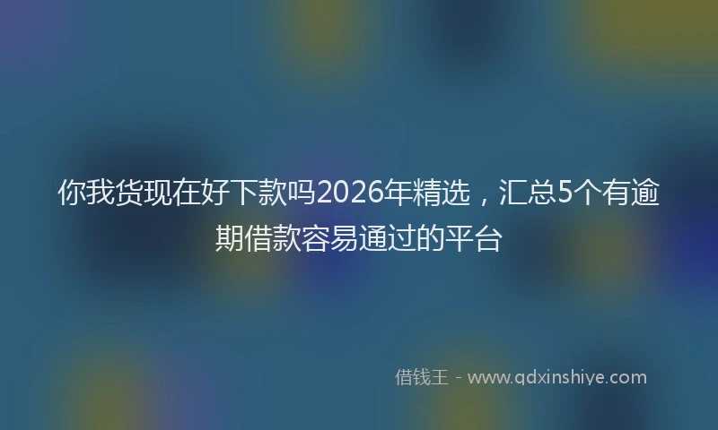 你我货现在好下款吗2026年精选，汇总5个有逾期借款容易通过的平台