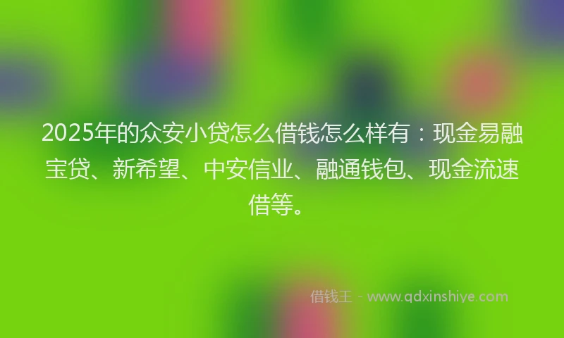 2025年的众安小贷怎么借钱怎么样有：现金易融宝贷、新希望、中安信业、融通钱包、现金流速借等。