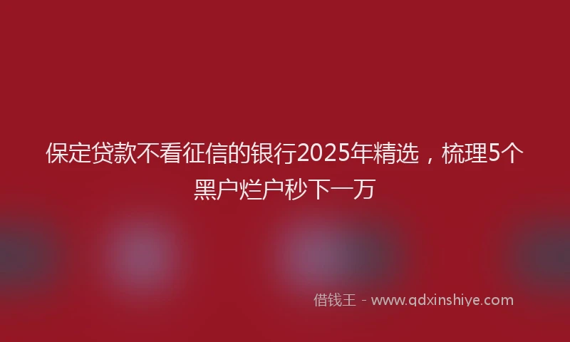 保定贷款不看征信的银行2025年精选，梳理5个黑户烂户秒下一万