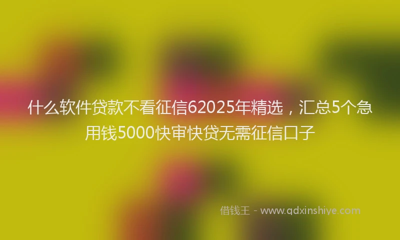 什么软件贷款不看征信62025年精选，汇总5个急用钱5000快审快贷无需征信口子