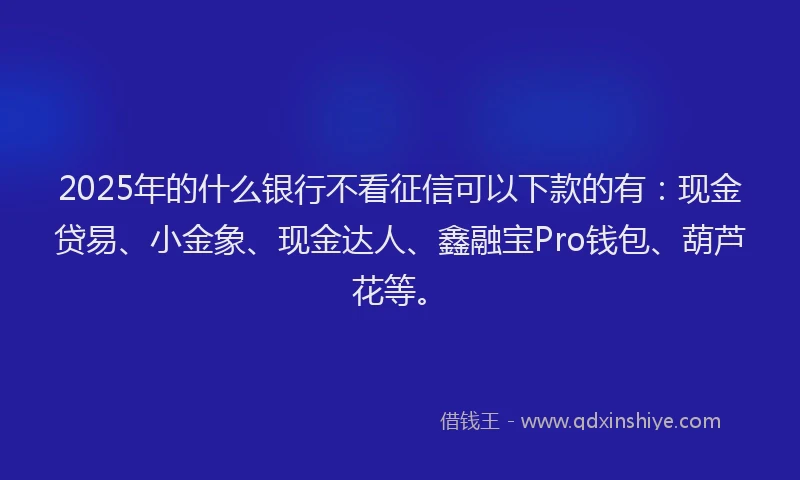 2025年的什么银行不看征信可以下款的有：现金贷易、小金象、现金达人、鑫融宝Pro钱包、葫芦花等。