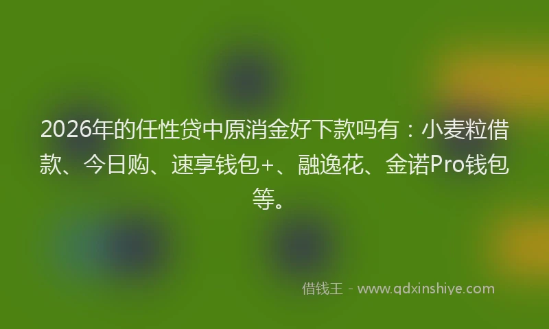 2026年的任性贷中原消金好下款吗有:小麦粒借款、今日购、速享钱包+、融逸花、金诺Pro钱包等。