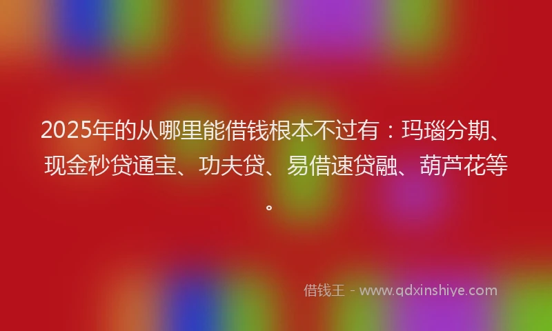 2025年的从哪里能借钱根本不过有：玛瑙分期、现金秒贷通宝、功夫贷、易借速贷融、葫芦花等。