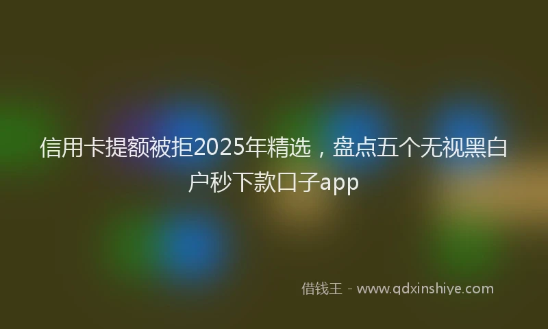 信用卡提额被拒2025年精选，盘点五个无视黑白户秒下款口子app