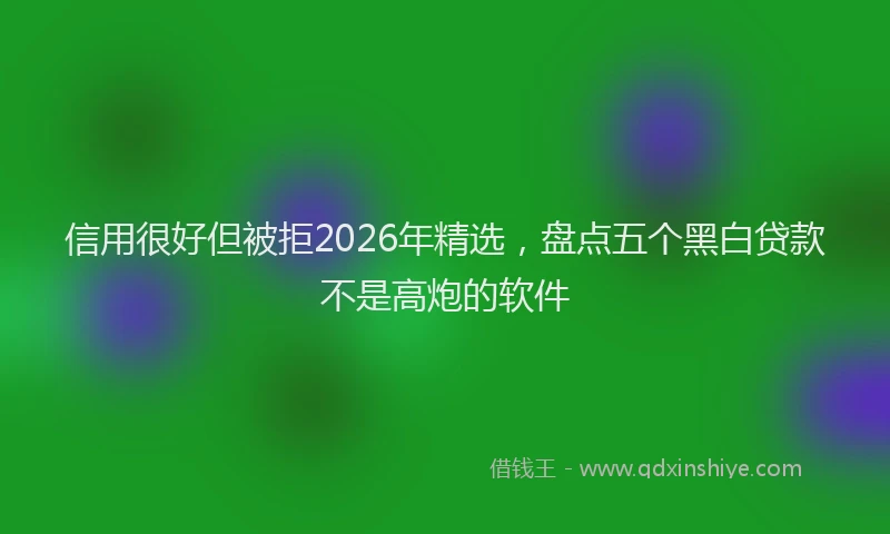 信用很好但被拒2026年精选，盘点五个黑白贷款不是高炮的软件