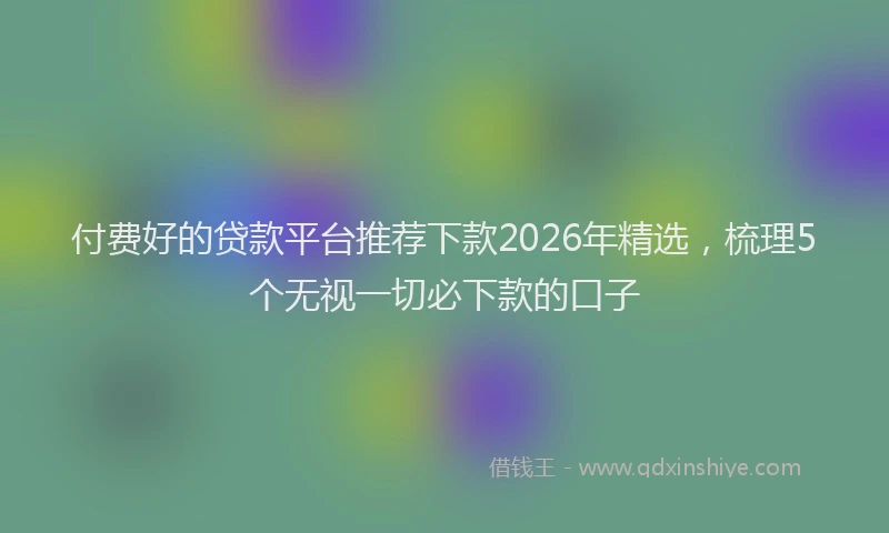 付费好的贷款平台推荐下款2026年精选，梳理5个无视一切必下款的口子