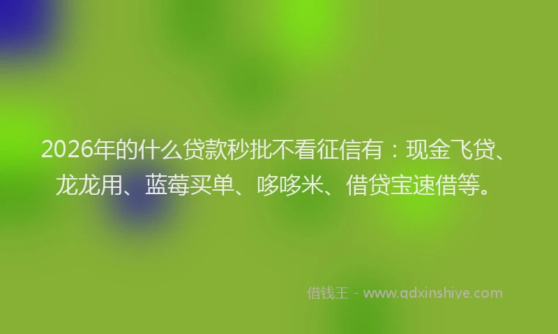 2026年的什么贷款秒批不看征信有：现金飞贷、龙龙用、蓝莓买单、哆哆米、借贷宝速借等。