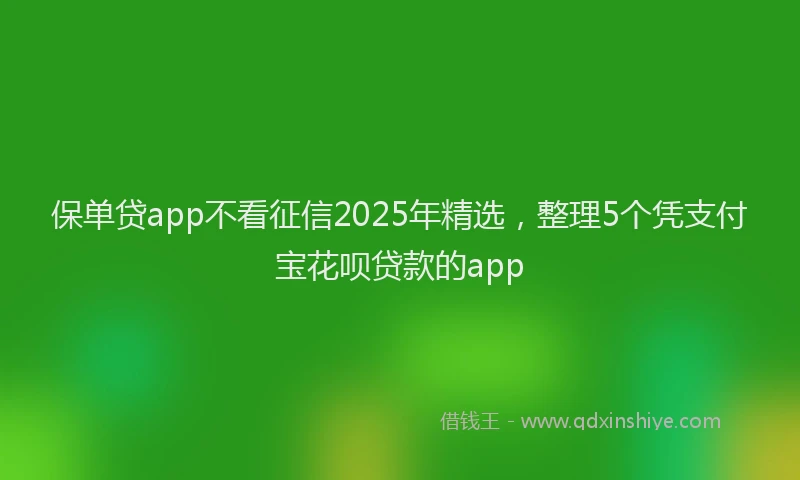 保单贷app不看征信2025年精选，整理5个凭支付宝花呗贷款的app