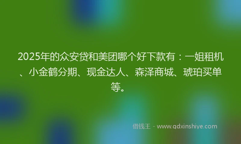 2025年的众安贷和美团哪个好下款有:一姐租机、小金鹤分期、现金达人、森泽商城、琥珀买单等。