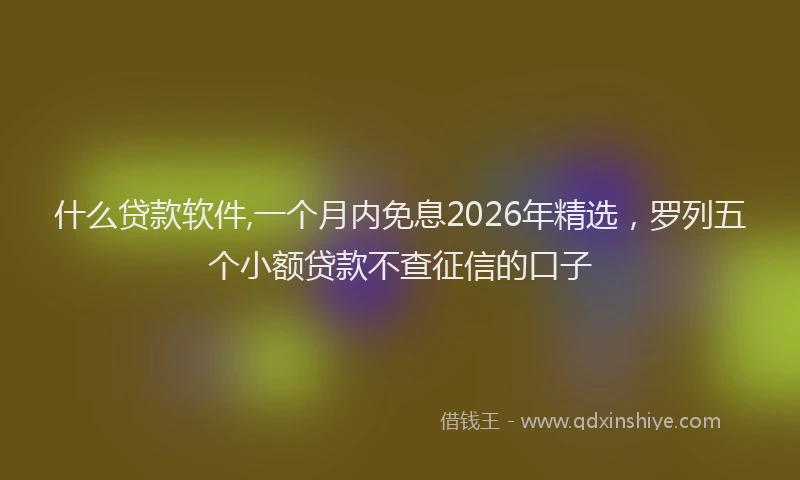 什么贷款软件,一个月内免息2026年精选，罗列五个小额贷款不查征信的口子