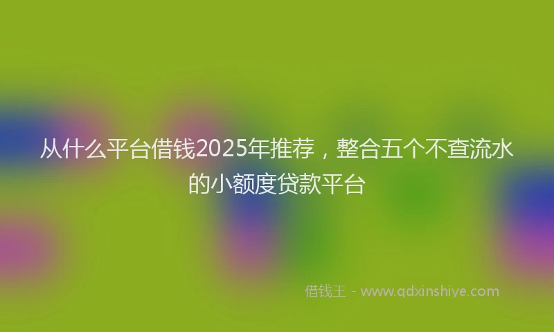 从什么平台借钱2025年推荐，整合五个不查流水的小额度贷款平台