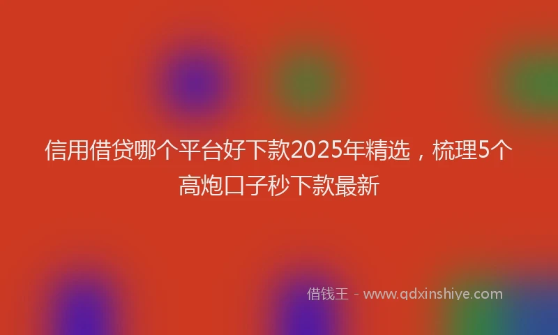 信用借贷哪个平台好下款2025年精选，梳理5个高炮口子秒下款最新