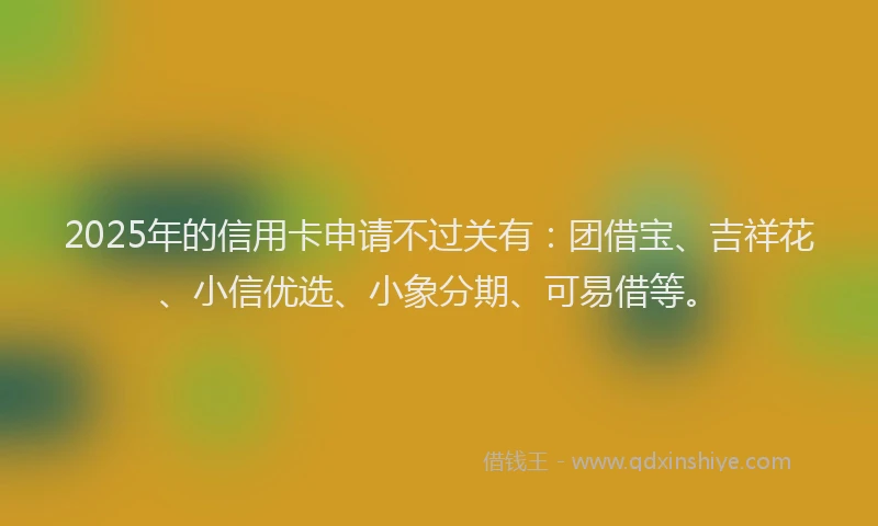 2025年的信用卡申请不过关有：团借宝、吉祥花、小信优选、小象分期、可易借等。