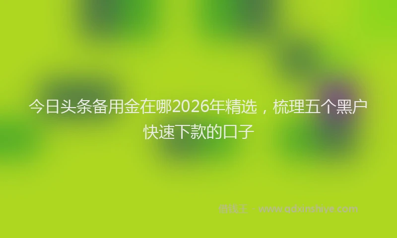 今日头条备用金在哪2026年精选，梳理五个黑户快速下款的口子