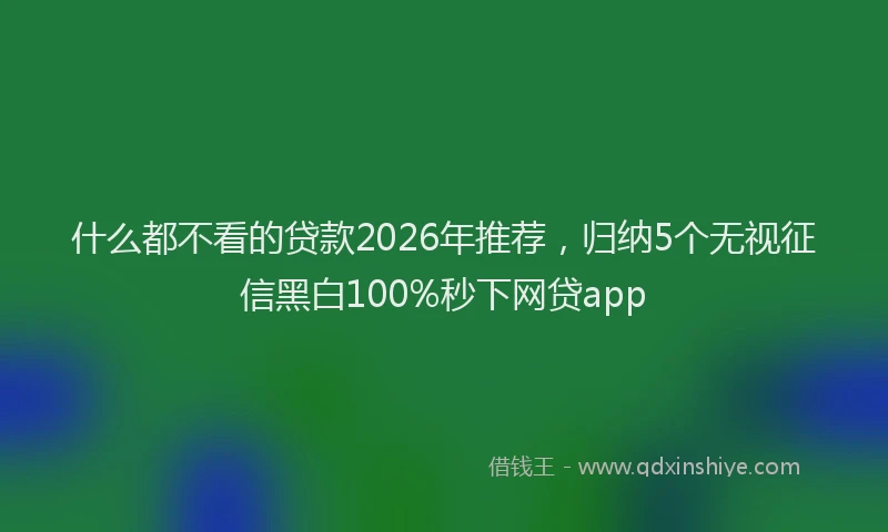 什么都不看的贷款2026年推荐，归纳5个无视征信黑白100%秒下网贷app