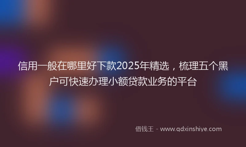 信用一般在哪里好下款2025年精选，梳理五个黑户可快速办理小额贷款业务的平台