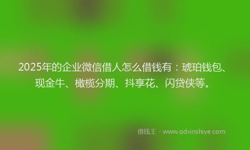 2025年的企业微信借人怎么借钱有：琥珀钱包、现金牛、橄榄分期、抖享花、闪贷侠等。