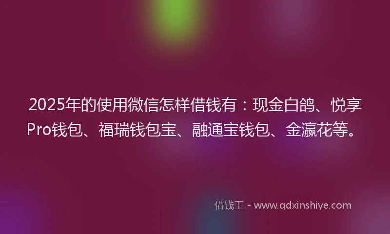 2025年的使用微信怎样借钱有:现金白鸽、悦享Pro钱包、福瑞钱包宝、融通宝钱包、金瀛花等。