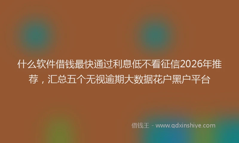 什么软件借钱最快通过利息低不看征信2026年推荐，汇总五个无视逾期大数据花户黑户平台
