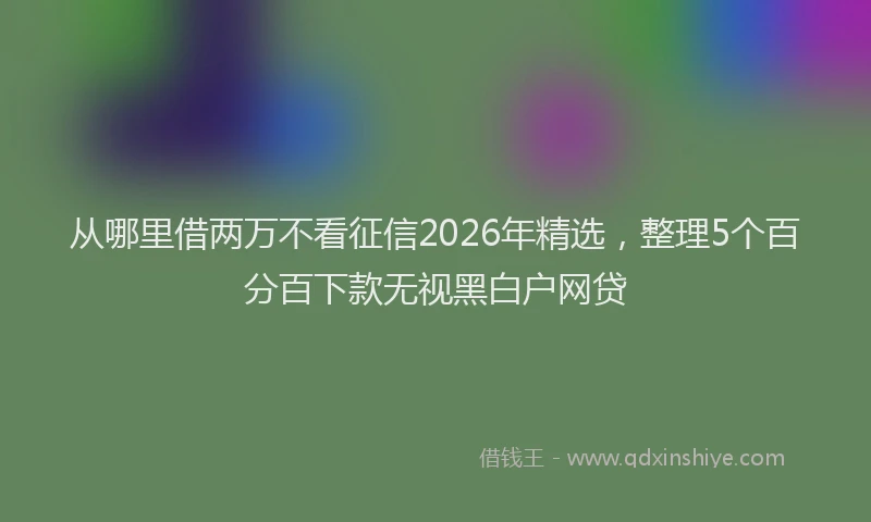 从哪里借两万不看征信2026年精选，整理5个百分百下款无视黑白户网贷