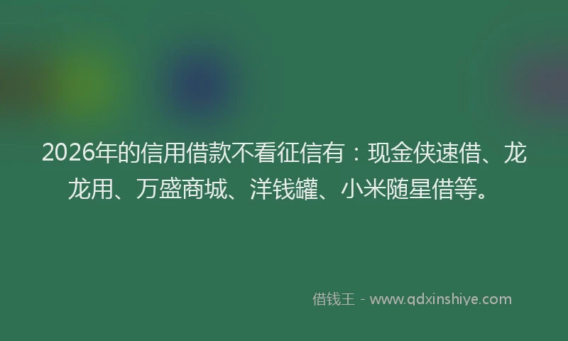 2026年的信用借款不看征信有：现金侠速借、龙龙用、万盛商城、洋钱罐、小米随星借等。