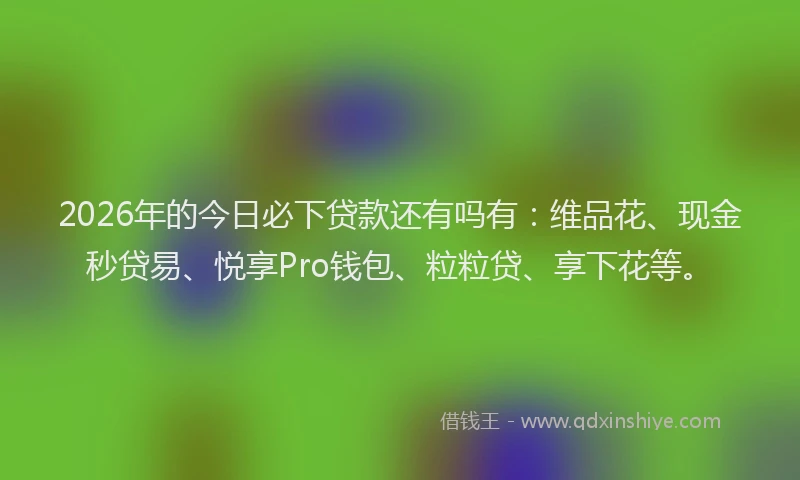 2026年的今日必下贷款还有吗有：维品花、现金秒贷易、悦享Pro钱包、粒粒贷、享下花等。