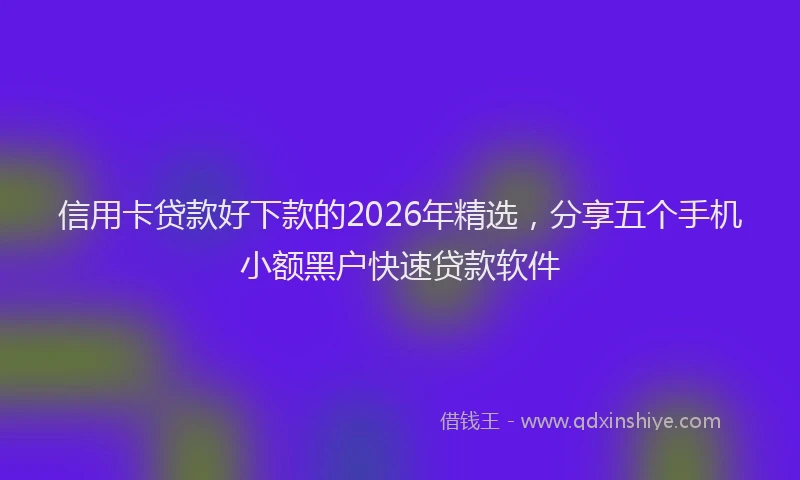 信用卡贷款好下款的2026年精选，分享五个手机小额黑户快速贷款软件