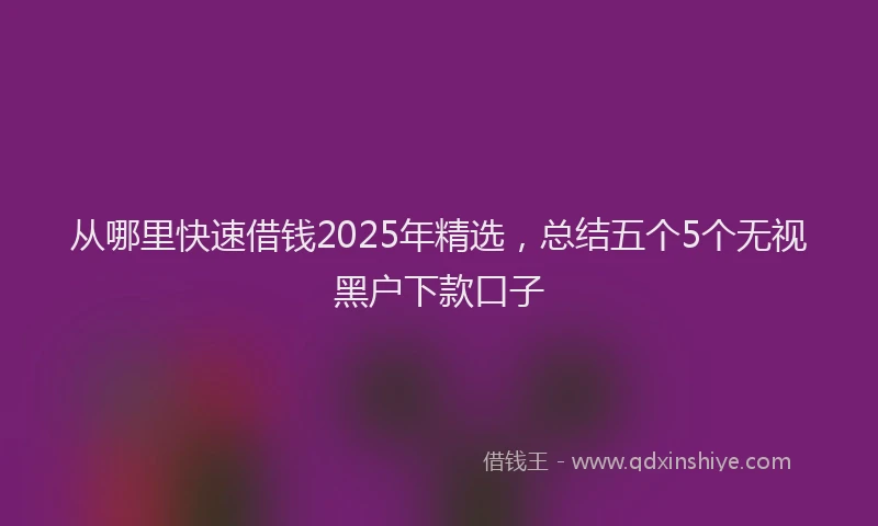 从哪里快速借钱2025年精选，总结五个5个无视黑户下款口子