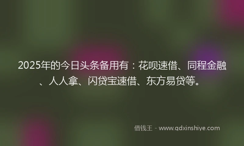 2025年的今日头条备用有:花呗速借、同程金融、人人拿、闪贷宝速借、东方易贷等。