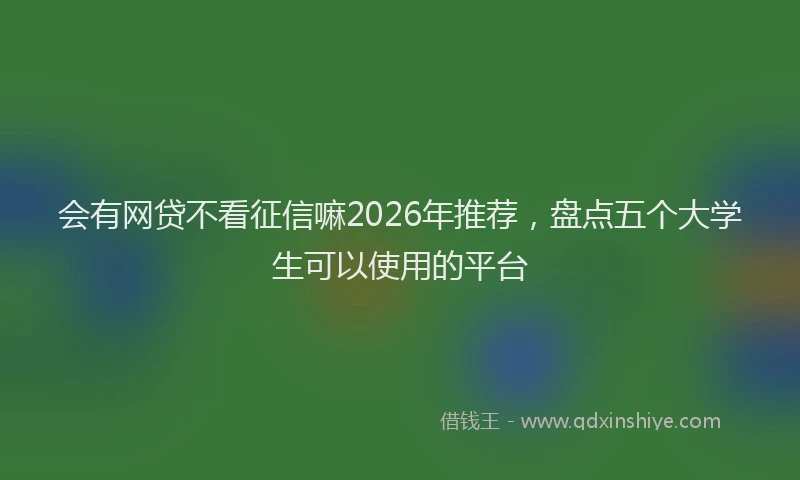 会有网贷不看征信嘛2026年推荐，盘点五个大学生可以使用的平台