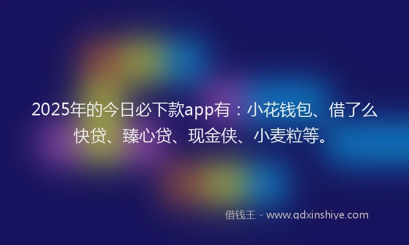 2025年的今日必下款app有：小花钱包、借了么快贷、臻心贷、现金侠、小麦粒等。
