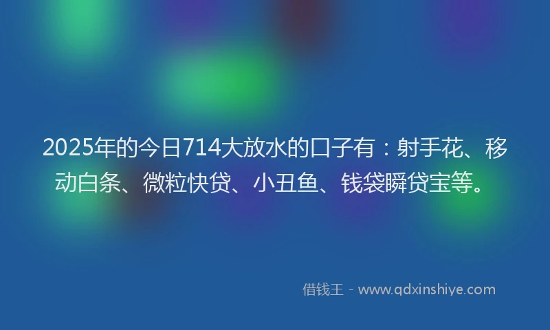 2025年的今日714大放水的口子有：射手花、移动白条、微粒快贷、小丑鱼、钱袋瞬贷宝等。
