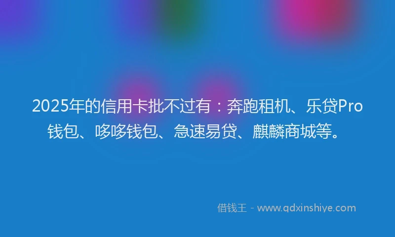 2025年的信用卡批不过有：奔跑租机、乐贷Pro钱包、哆哆钱包、急速易贷、麒麟商城等。