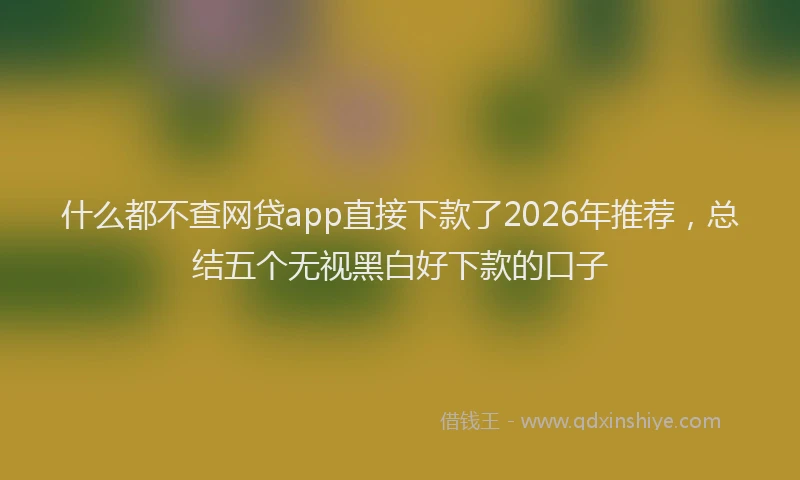 什么都不查网贷app直接下款了2026年推荐，总结五个无视黑白好下款的口子