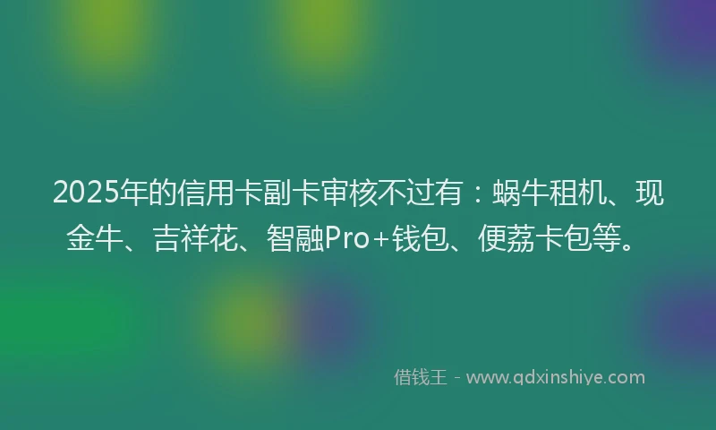 2025年的信用卡副卡审核不过有:蜗牛租机、现金牛、吉祥花、智融Pro+钱包、便荔卡包等。