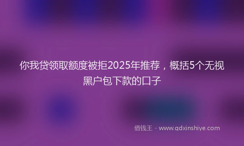 你我贷领取额度被拒2025年推荐，概括5个无视黑户包下款的口子
