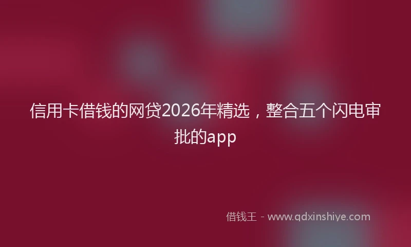 信用卡借钱的网贷2026年精选，整合五个闪电审批的app