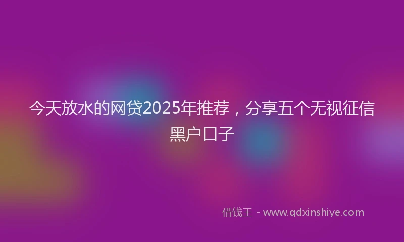 今天放水的网贷2025年推荐，分享五个无视征信黑户口子