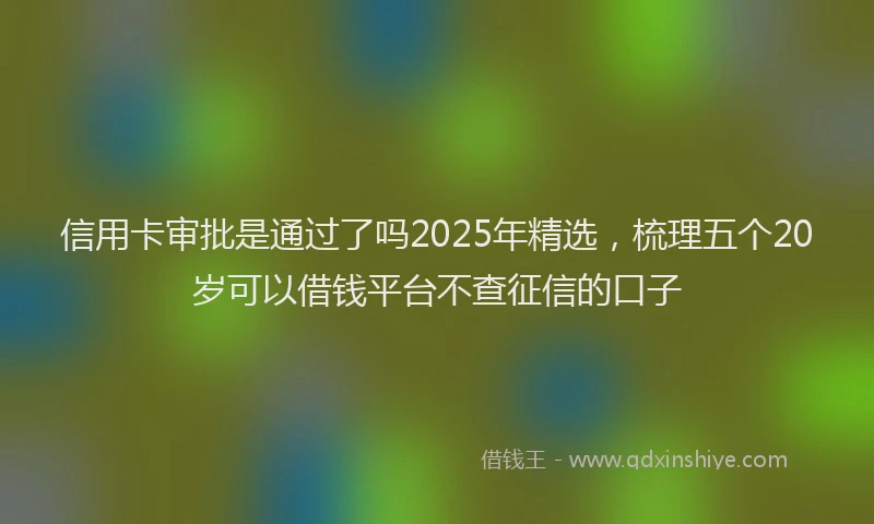 信用卡审批是通过了吗2025年精选，梳理五个20岁可以借钱平台不查征信的口子