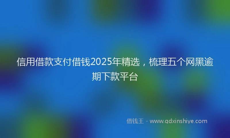 信用借款支付借钱2025年精选，梳理五个网黑逾期下款平台