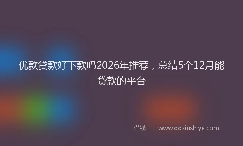 优款贷款好下款吗2026年推荐，总结5个12月能贷款的平台