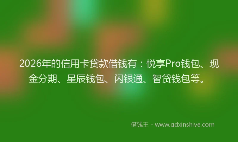 2026年的信用卡贷款借钱有：悦享Pro钱包、现金分期、星辰钱包、闪银通、智贷钱包等。