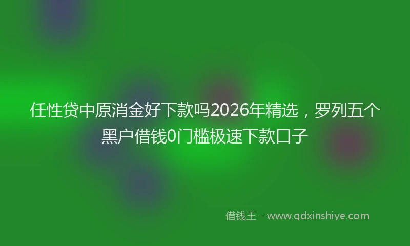 任性贷中原消金好下款吗2026年精选,罗列五个黑户借钱0门槛极速下款口子