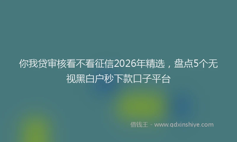 你我贷审核看不看征信2026年精选，盘点5个无视黑白户秒下款口子平台