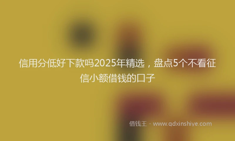 信用分低好下款吗2025年精选，盘点5个不看征信小额借钱的口子