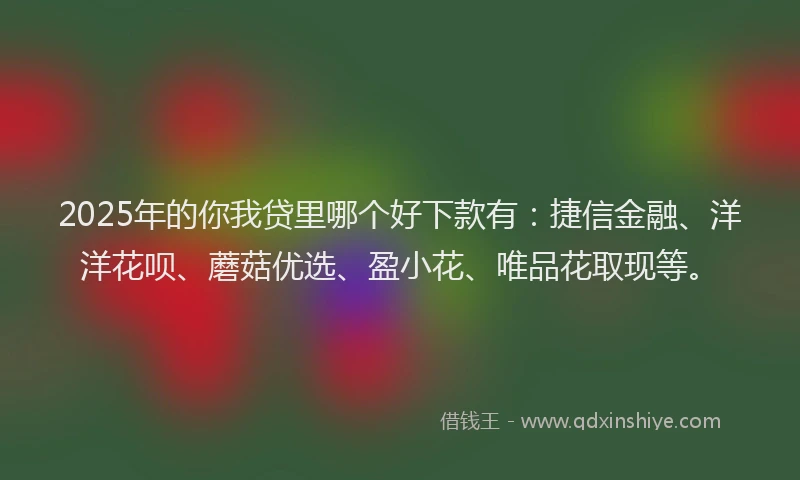 2025年的你我贷里哪个好下款有：捷信金融、洋洋花呗、蘑菇优选、盈小花、唯品花取现等。