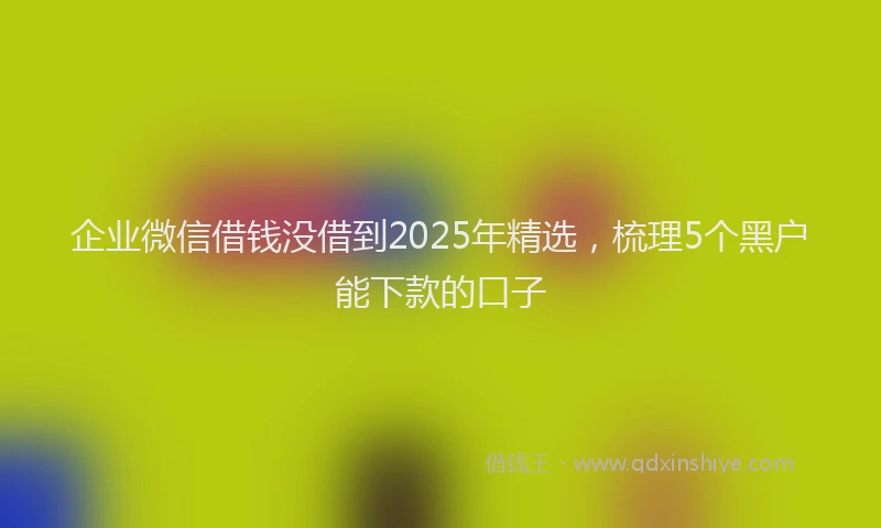 企业微信借钱没借到2025年精选，梳理5个黑户能下款的口子