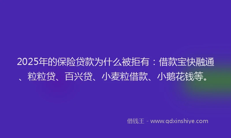 2025年的保险贷款为什么被拒有：借款宝快融通、粒粒贷、百兴贷、小麦粒借款、小鹅花钱等。