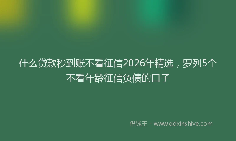 什么贷款秒到账不看征信2026年精选，罗列5个不看年龄征信负债的口子